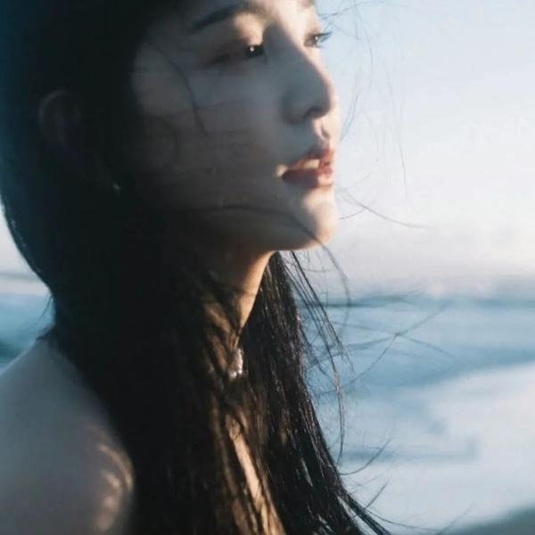 面目全飞
