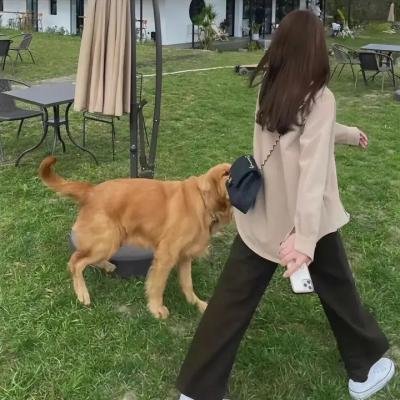 拳力游戏